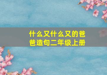 什么又什么又的爸爸造句二年级上册