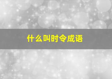 什么叫时令成语