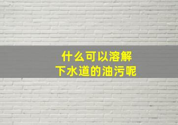 什么可以溶解下水道的油污呢