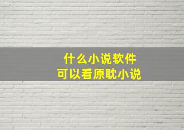 什么小说软件可以看原耽小说