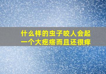 什么样的虫子咬人会起一个大疙瘩而且还很痒