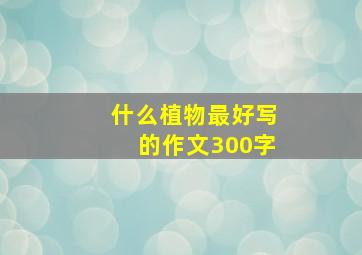 什么植物最好写的作文300字