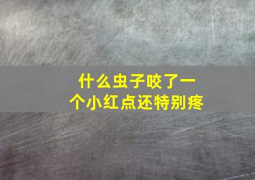 什么虫子咬了一个小红点还特别疼