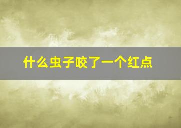 什么虫子咬了一个红点