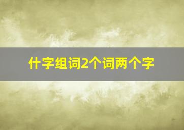 什字组词2个词两个字