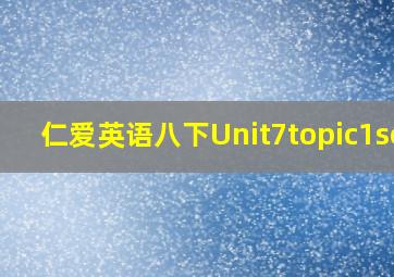 仁爱英语八下Unit7topic1sec