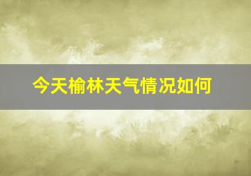 今天榆林天气情况如何