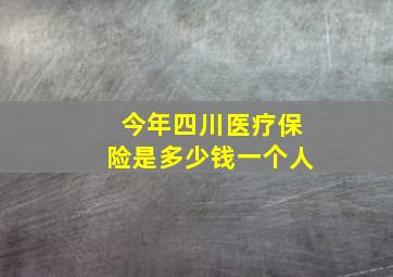 今年四川医疗保险是多少钱一个人