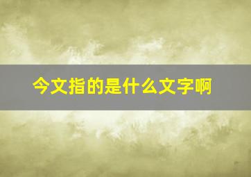 今文指的是什么文字啊