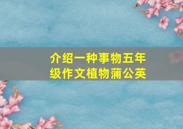 介绍一种事物五年级作文植物蒲公英