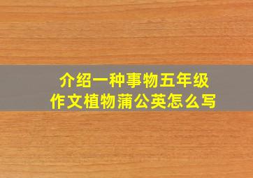 介绍一种事物五年级作文植物蒲公英怎么写