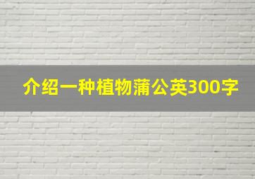 介绍一种植物蒲公英300字