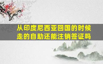 从印度尼西亚回国的时候走的自助还能注销签证吗