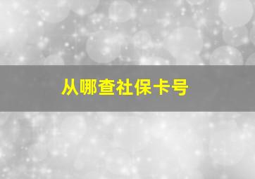 从哪查社保卡号