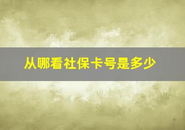 从哪看社保卡号是多少