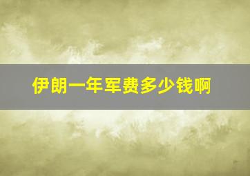 伊朗一年军费多少钱啊