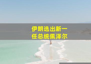 伊朗选出新一任总统佩泽尔