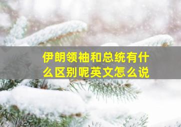 伊朗领袖和总统有什么区别呢英文怎么说