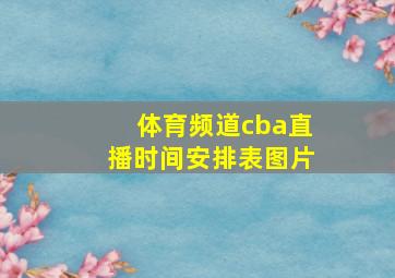 体育频道cba直播时间安排表图片