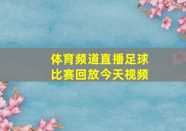 体育频道直播足球比赛回放今天视频