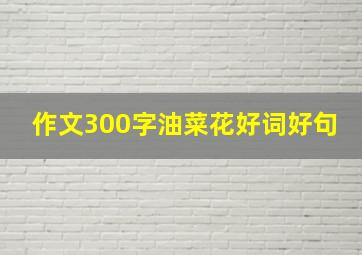 作文300字油菜花好词好句