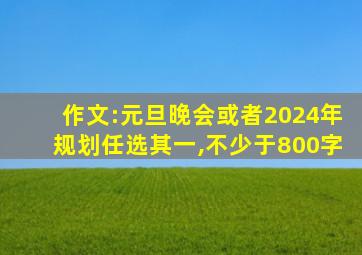 作文:元旦晚会或者2024年规划任选其一,不少于800字