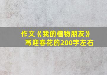 作文《我的植物朋友》写迎春花的200字左右