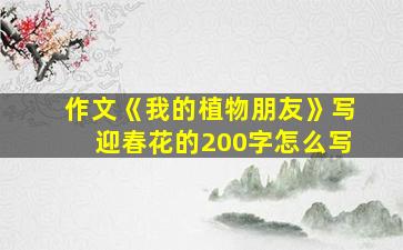 作文《我的植物朋友》写迎春花的200字怎么写