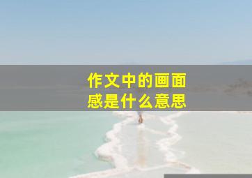 作文中的画面感是什么意思