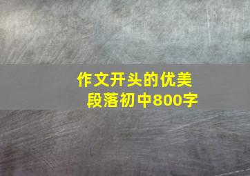 作文开头的优美段落初中800字