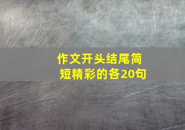 作文开头结尾简短精彩的各20句