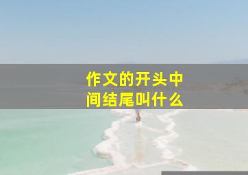 作文的开头中间结尾叫什么