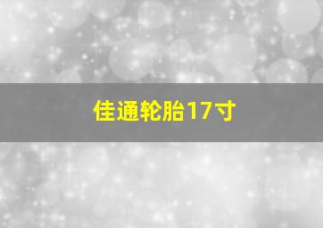 佳通轮胎17寸