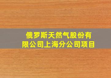 俄罗斯天然气股份有限公司上海分公司项目