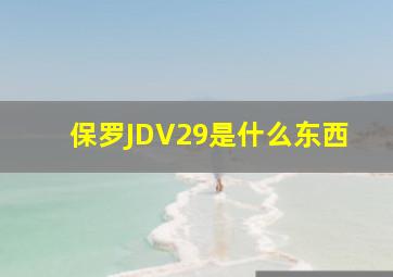 保罗JDV29是什么东西