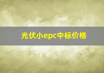 光伏小epc中标价格