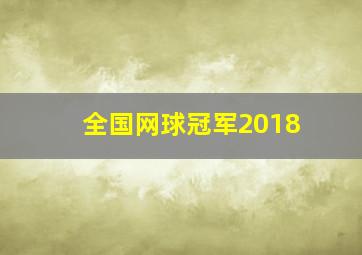 全国网球冠军2018