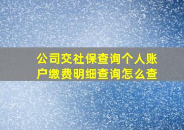 公司交社保查询个人账户缴费明细查询怎么查