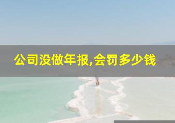 公司没做年报,会罚多少钱