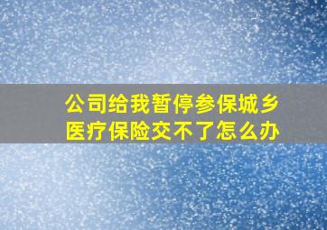 公司给我暂停参保城乡医疗保险交不了怎么办