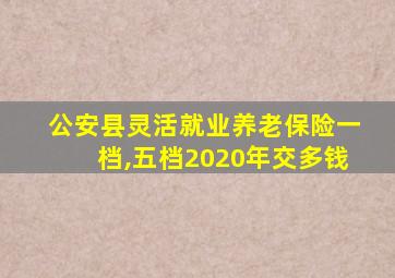 公安县灵活就业养老保险一档,五档2020年交多钱