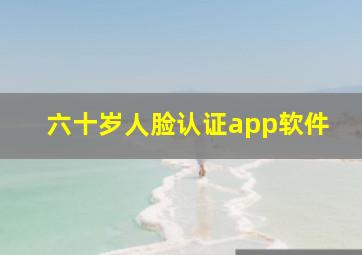 六十岁人脸认证app软件