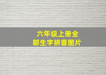 六年级上册全部生字拼音图片