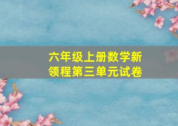 六年级上册数学新领程第三单元试卷