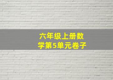 六年级上册数学第5单元卷子