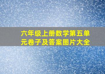 六年级上册数学第五单元卷子及答案图片大全