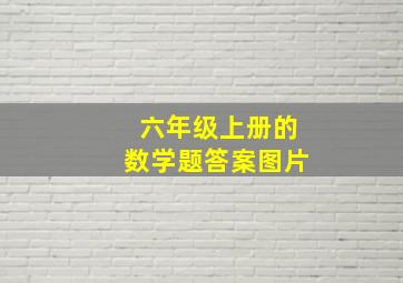 六年级上册的数学题答案图片