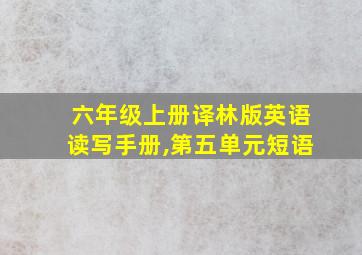 六年级上册译林版英语读写手册,第五单元短语