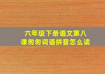 六年级下册语文第八课匆匆词语拼音怎么读