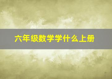 六年级数学学什么上册